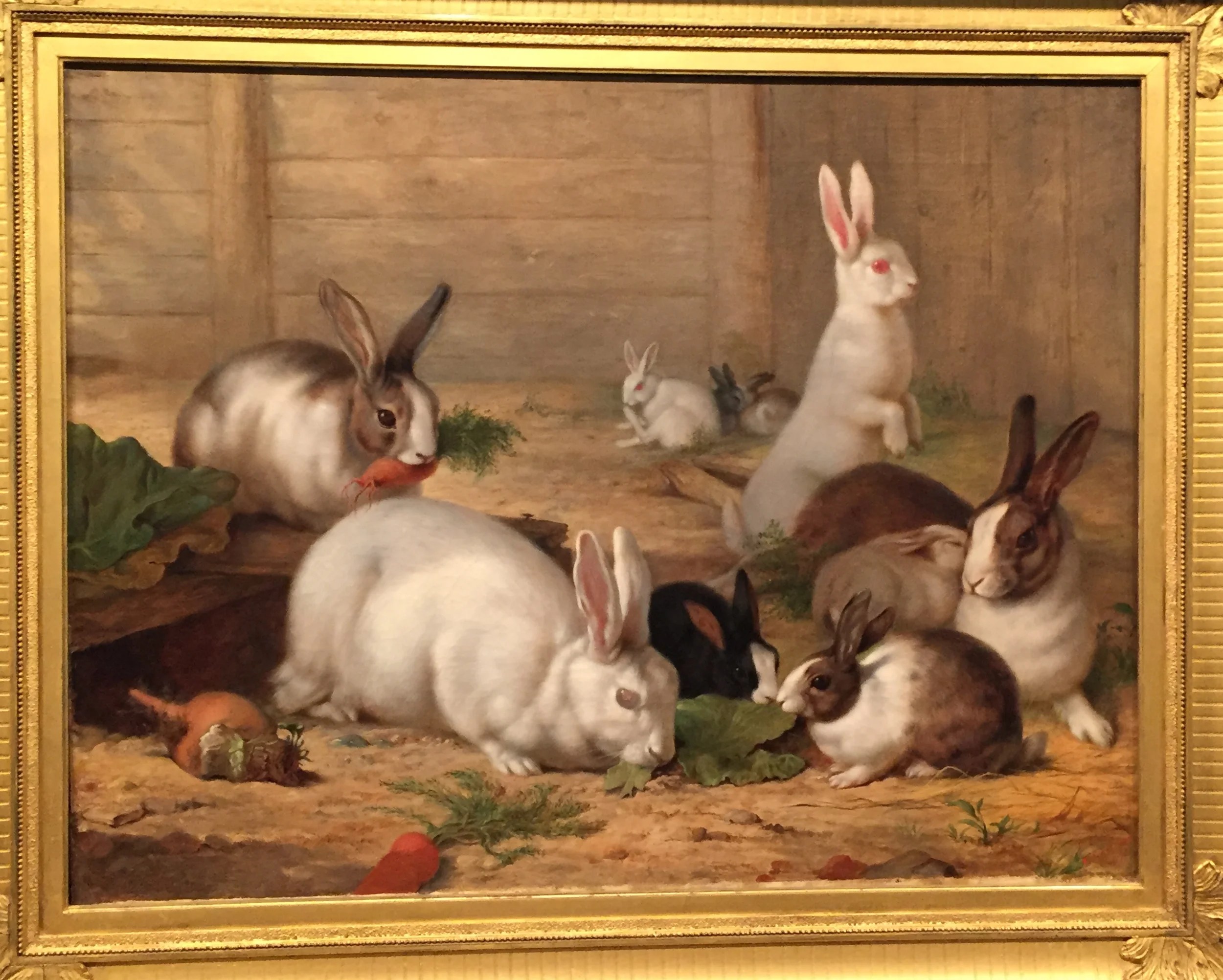 Rabbits , 1878 by Charlotte Mount Brock Schreiber, Canadian, 1834-1922