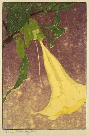 Edna Boies Hopkins , Datura , 1910