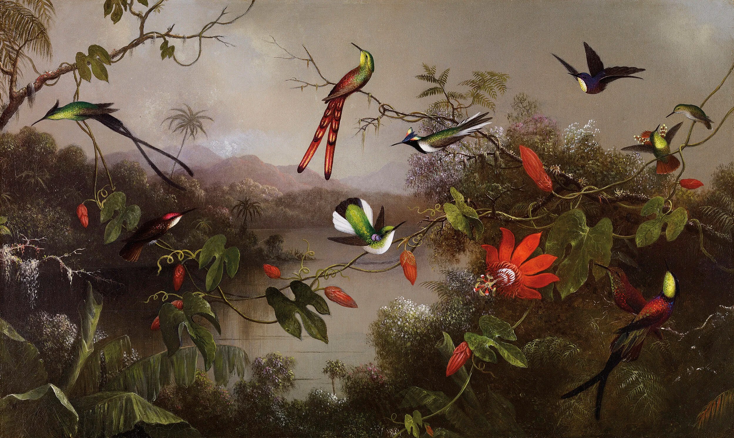 Tropical Landscape with Ten Hummingbirds , Martin Johnson Heade , 1870