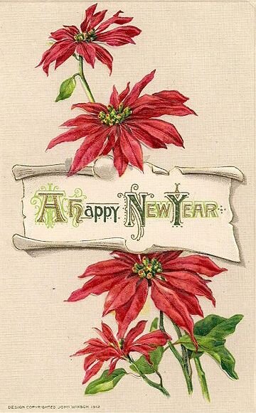  Vintage Post Card 