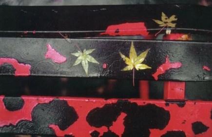  Peeling Paint on Iron Bench, Kyoto, 1981 by  Ernst Haas.  